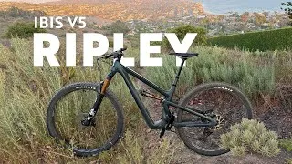 Thumbnail: Ibis Ripley V5 - Long-Term Review from an average rider