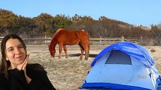 Thumbnail: I Went Solo Camping with Wild Horses!