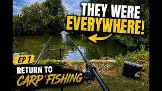 Thumbnail: The Carp Were EVERYWHERE… | Return to Carp Fishing EP1