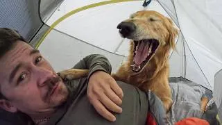 Thumbnail: The PERFECT backpacking trip with my dog