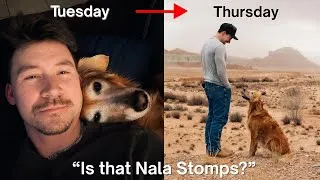 Thumbnail: A week in the life with one of the internet's most famous dogs | Nala Stomps