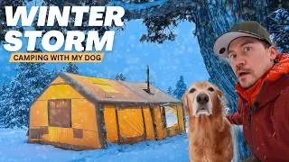Thumbnail: Camping with my dog in a HUGE tent during a snow storm