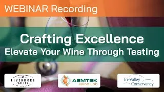 Thumbnail: Crafting Excellence: Elevating Your Wine Through Testing