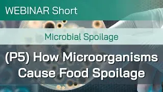 Thumbnail: Webinar Short: Microbial Spoilage (Part 5): How Microorganisms Cause Food Spoilage