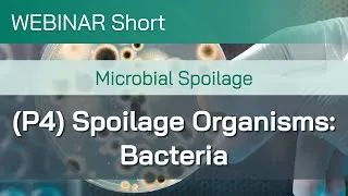 Thumbnail: Webinar Short: Microbial Spoilage (Part 4): Spoilage Organisms – Bacteria