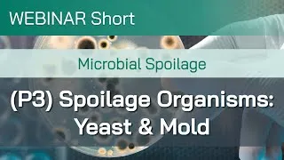 Thumbnail: Webinar Short: Microbial Spoilage (P3): Spoilage Organisms – Yeast & Mold