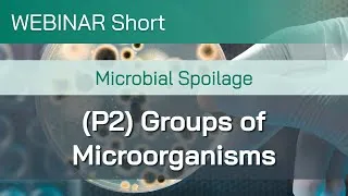 Thumbnail: Webinar Short: Microbial Spoilage (P2): Groups of Microorganisms