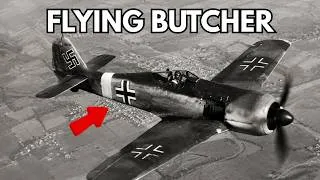 Thumbnail: A True Masterpiece? The Hidden Secrets of the Focke-Wulf 190