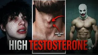 Thumbnail: This Is the Last Video You Need to INCREASE Your TESTOSTERONE Naturally & Permanently