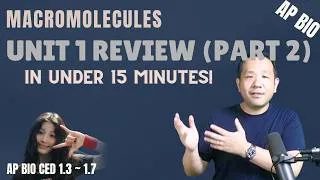 Thumbnail: AP Biology Unit 1 Review (Part TWO): MACROMOLECULES in 15 minutes!