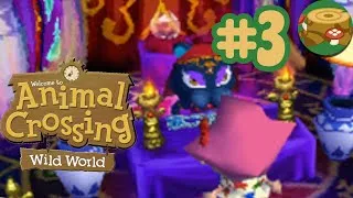 Thumbnail: Let's Play Animal Crossing: Wild World | #3 | The Grass is Always Greener