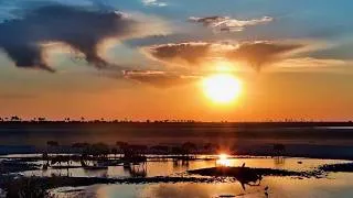Thumbnail: Wildlife Comes Alive at Sunset at Jack's Camp