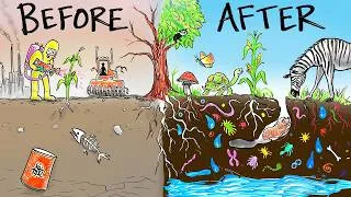 Thumbnail: Genius Solution to Transform Barren Land into Fertile Garden