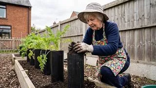 Thumbnail: 50 Oddly Useful Garden Ideas You’ll Wish You Knew Sooner