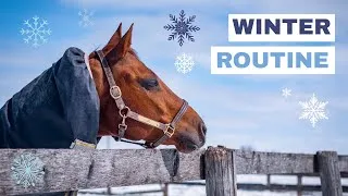 Thumbnail: I'M ALIVEEE (barely) // my winter riding routine
