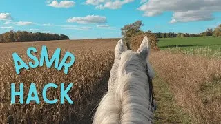 Thumbnail: Come Hacking With Me // Relaxing Autumn Ride