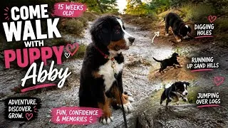 Thumbnail: 🐶 15-Week-Old puppy | Abby’s Wildest Walk Yet!🐾