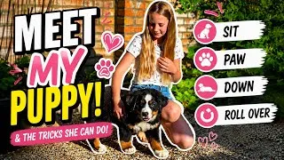 Thumbnail: MEET OUR BERNESE MOUNTAIN DOG PUPPY! 🐶❤️ | She Already Knows THESE Tricks! 🤯