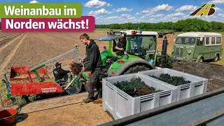 Thumbnail: Weinanbau 12.000 neue Weinreben pflanzen | Fendt Traktor & GPS-Pflanzmaschine | Landwirtschaft 2026