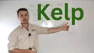 Thumbnail: Benefits of Kelp Fertilisers In Agriculture