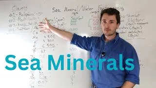 Thumbnail: Sea Mineral Fertilisers (Do I recommend them?)