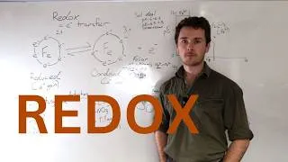 Thumbnail: Soil and Plant Redox Explained