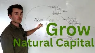 Thumbnail: How to Grow Natural Capital on your Farm?