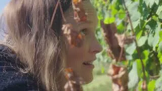 Thumbnail: Agricola Marrone - Un anno con noi