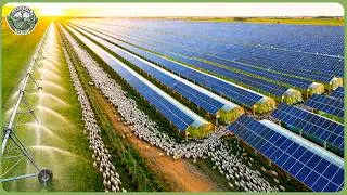 Thumbnail: Solar Farming on Another Level – Millions Tons of Food and Electricity Are Produced on the Same Land