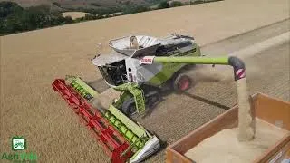 Thumbnail: Harvest 2026. Claas Lexion 770TT Harvesting Organic Barley