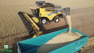 Thumbnail: New Holland CR9.90 Harvesting Oats