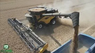 Thumbnail: New Holland CR11 + 50ft Macdon Header Harvesting Wheat
