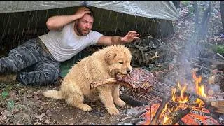 Thumbnail: Caught in Rain With My Dog! - Cosy Rain Camping in Snowy Wilderness