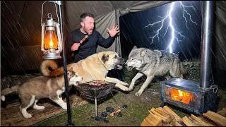 Thumbnail: Caught in Rainstorm With My Dog | The Most Brutal Camping in Heavy Rain and Thunderstorm 🌧️🐕