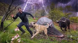Thumbnail: Camping in Heavy Rain, Rainstorm and Strong Winds | Caught in a Thunderstorm with My Dog 🌧️