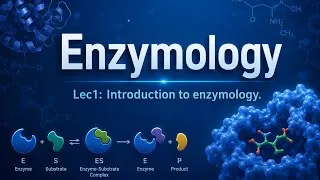 Thumbnail: Lec1: Introduction to enzymology(Enzymology).