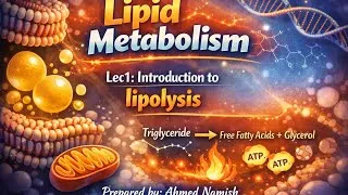 Thumbnail: Lec1: Introduction to lipolysis(lipid metabolism).