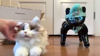 Thumbnail: metaCat Robotic Cat Unboxing and First Impressions