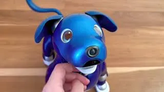 Thumbnail: Kaito the Cyber Blue Aibo ERS-1000