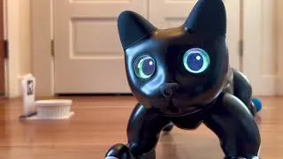Thumbnail: MarsCat Robotic Cat Autonomy