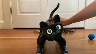 Thumbnail: MarsCat Robotic Cat Unboxing and First Impressions