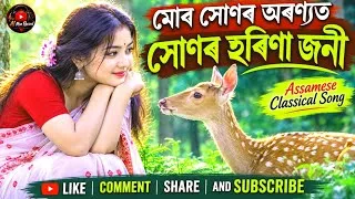 Thumbnail: মোৰ সোণৰ অৰণ্যৰত / Assamese Latest Classical Song 2026 / Ai Mon Record / official release 