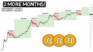 Thumbnail: Bitcoin Bear Market to be Over in 2 Months | Ready for the Rebound?