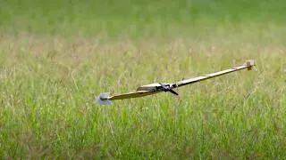 Thumbnail: Sheet-to-Sky: Flat-Packable Cardboard Wing - Short Flight Demo