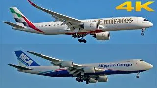 Thumbnail: ✈️ HEAVY MORNING ARRIVALS AT FRANKFURT 🇩🇪 AIRPORT PLANE SPOTTING (FRA) 2026