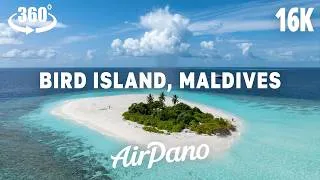 Thumbnail: Bird Island. Maldives. VR Relaxation in 16K