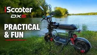 Thumbnail: iScooter DX5 - Affordable and Fun