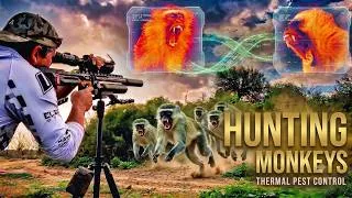 Thumbnail: Hunting Monkeys | FX Impact M4 | Nocpix ACE S60R | ZAN Slugs | Pest Control #fxairguns