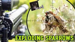 Thumbnail: Hunting falcon food | FX Panthera MKII | ZAN 23gr Slugs | Element Optics Helix Gen 2 | PCP Airgun