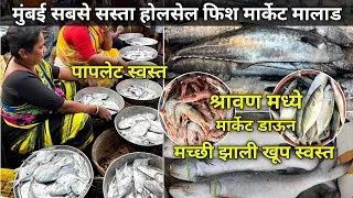 Thumbnail: Malad Fish Market | Malad Wholesale Fish Market | Fish Market Malad  Wholesale Fish Market In Mumbai